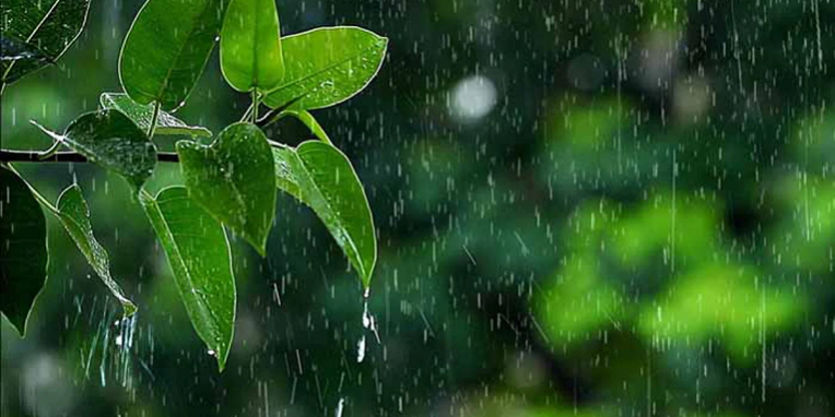 4f3b939eb107a36ce54583d54a540756b165c45f1103a00b